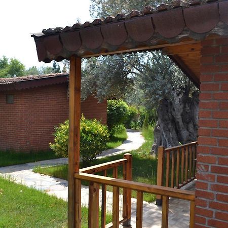Kervan Tatil Koeyue Едреміт Екстер'єр фото